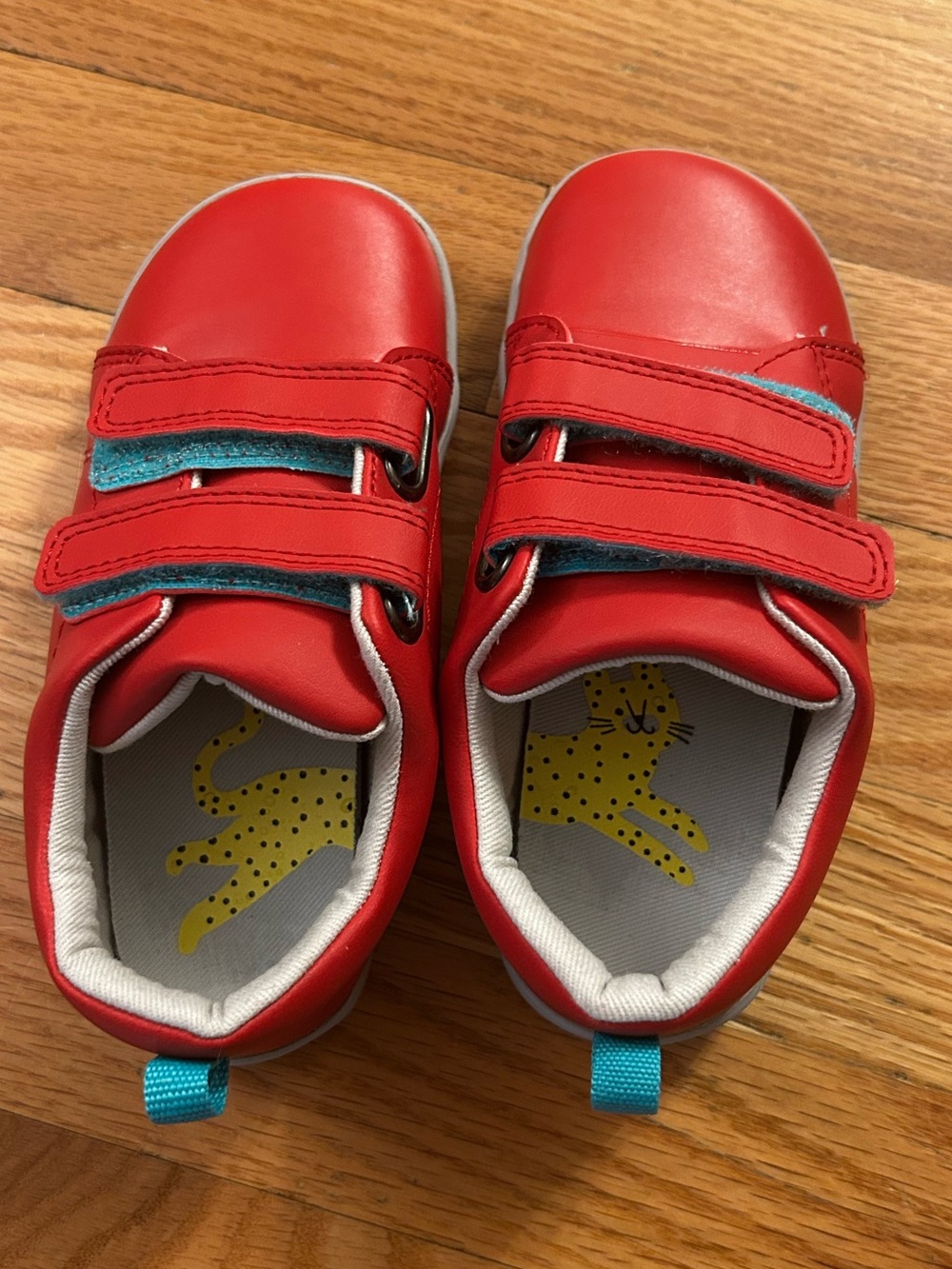 Ten Little Velcro Shoes